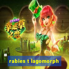 rabies t lagomorph